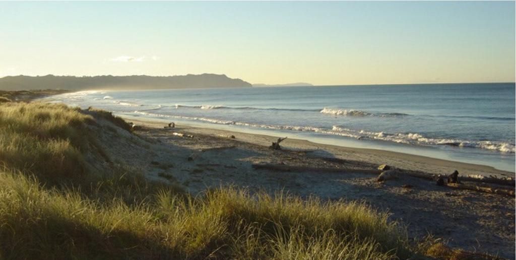 Two Bare Feet Appartement Waihi Buitenkant foto